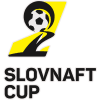 Slovak Cup