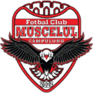 AFC Campulung-Muscel 